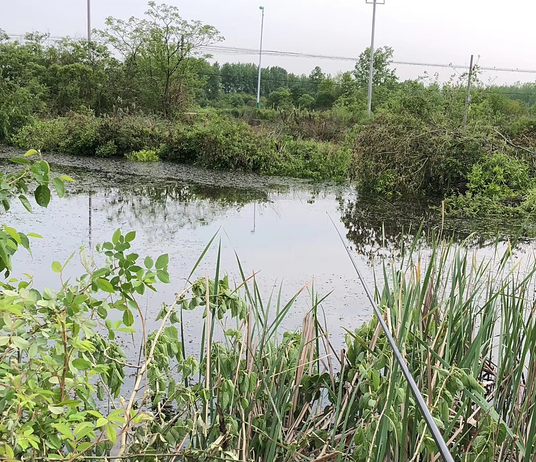 农村鱼塘,未承包,但有人放鱼,外人垂钓被禁止,这样做可以吗?